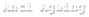 contact page